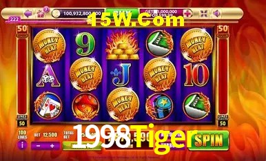 Login Seguro 1998Tiger
